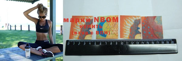 мдпв Бородино