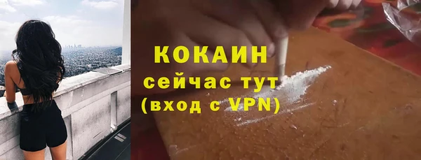 мдпв Бородино