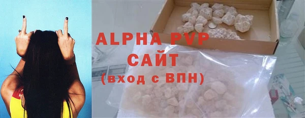 мдпв Бородино