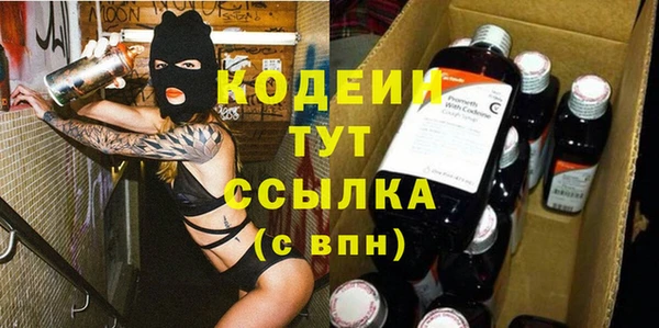 мдпв Бородино