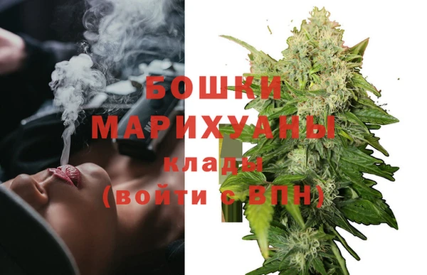 мдпв Бородино