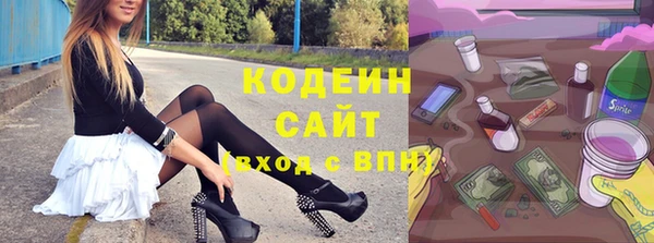 мдпв Бородино